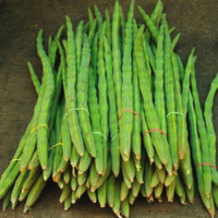 Carom Seeds