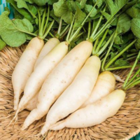 Dried Ginger