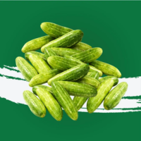 Carom Seeds