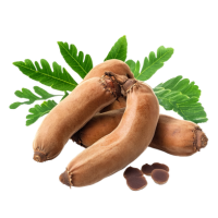 Carom Seeds